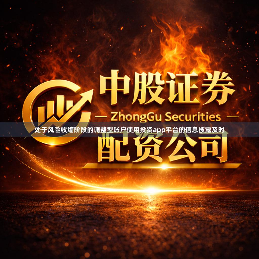 处于风险收缩阶段的调整型账户使用投资app平台的信息披露及时