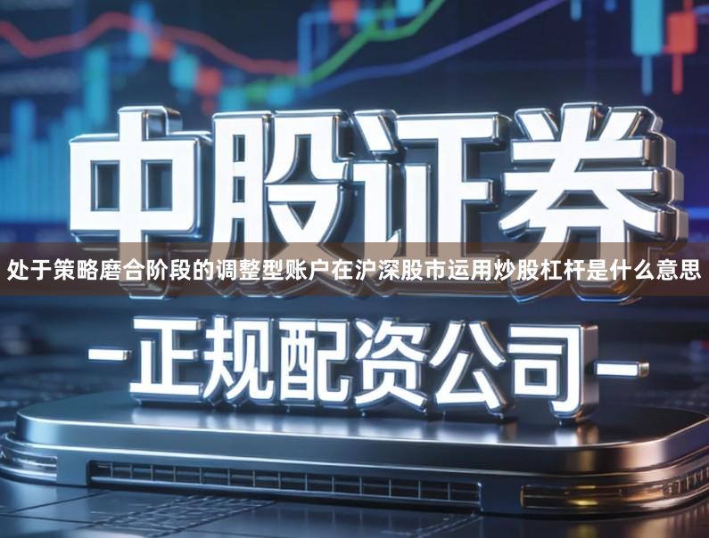 处于策略磨合阶段的调整型账户在沪深股市运用炒股杠杆是什么意思
