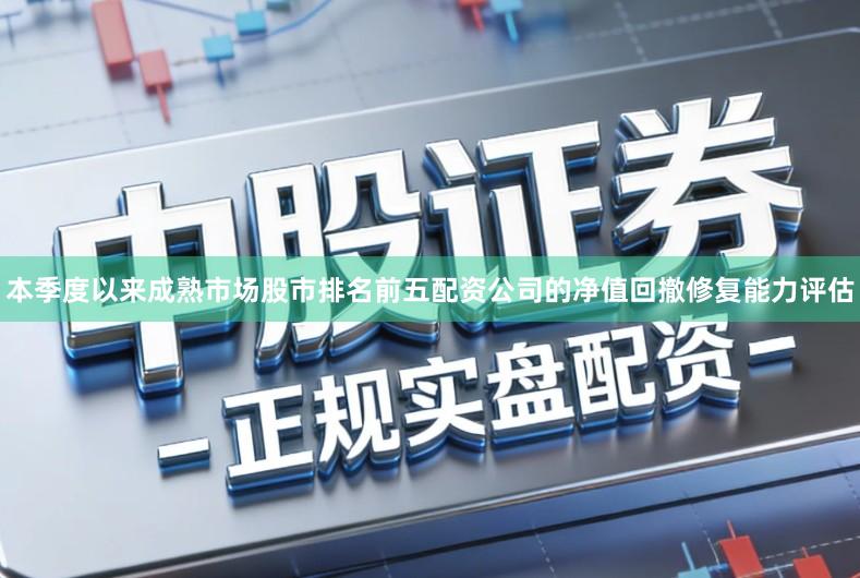 本季度以来成熟市场股市排名前五配资公司的净值回撤修复能力评估